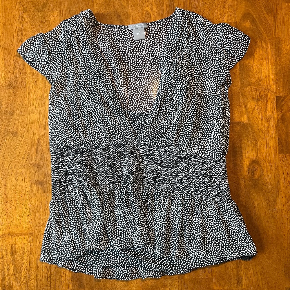 Ann Taylor Petite Size 6 Sheer Silk Blouse